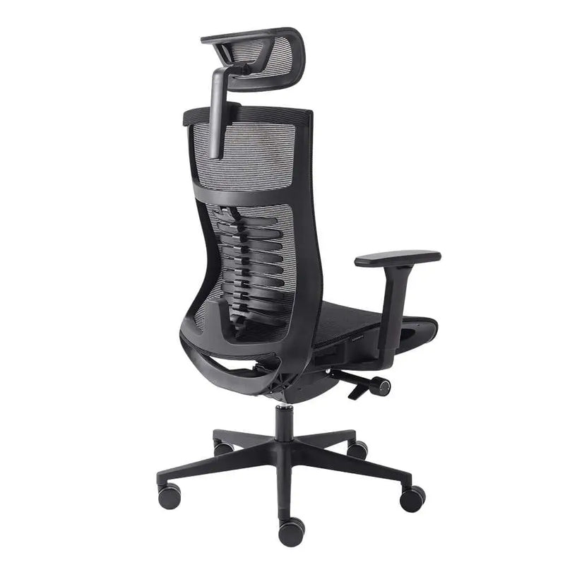 Cadeira Ergonômica Elements Vertta Special