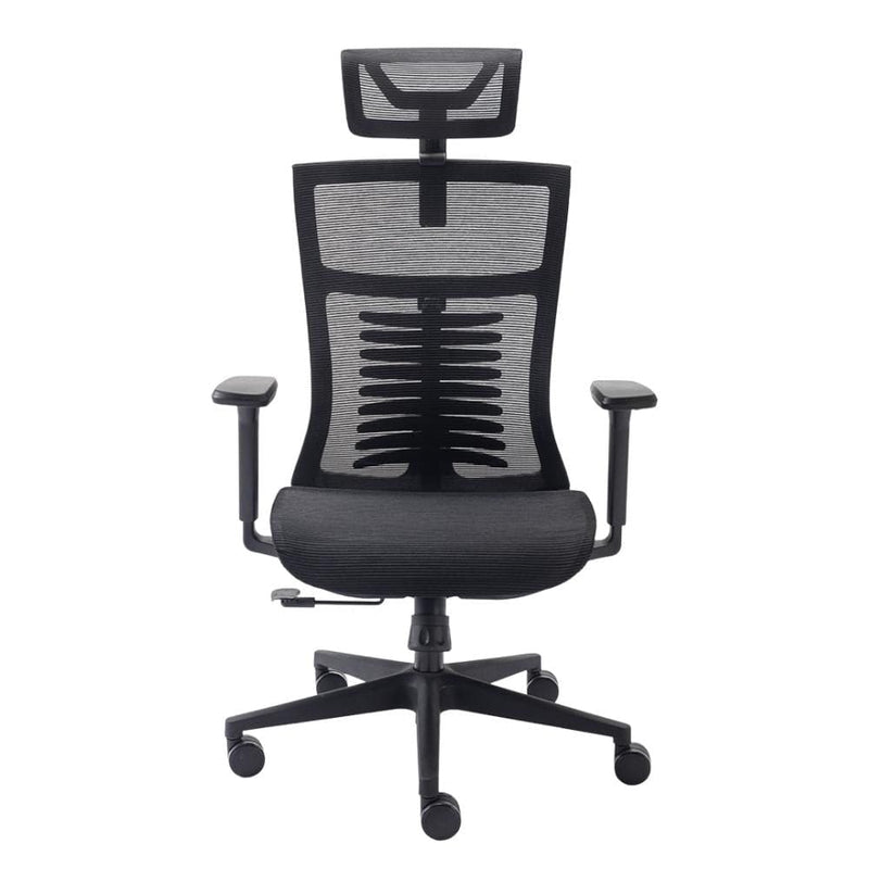 Cadeira Ergonômica Elements Vertta Pro