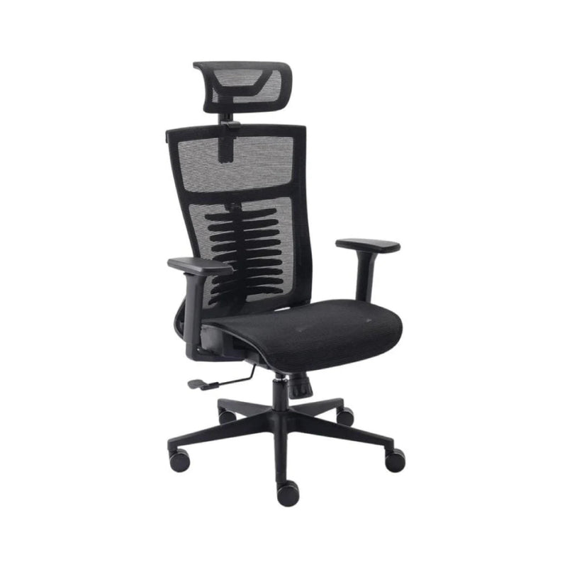 Cadeira Ergonômica Elements Vertta Pro