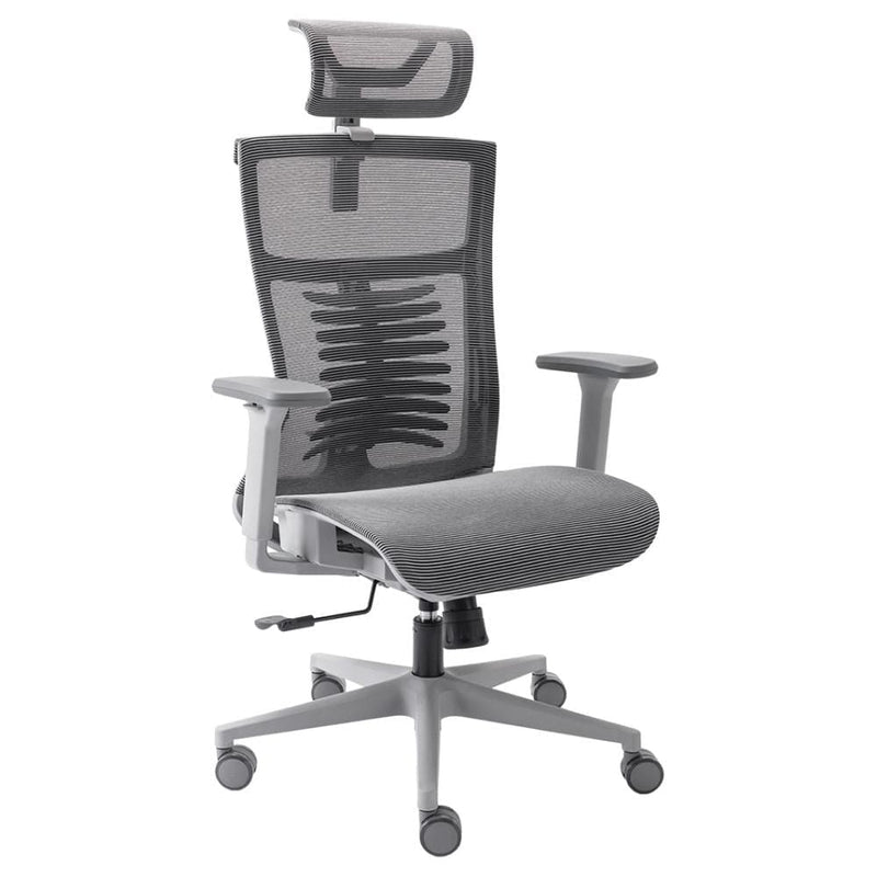 Cadeira Ergonômica Elements Vertta Pro