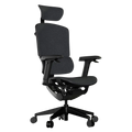 Cadeira Gamer Ergonômica Elements Nemesis